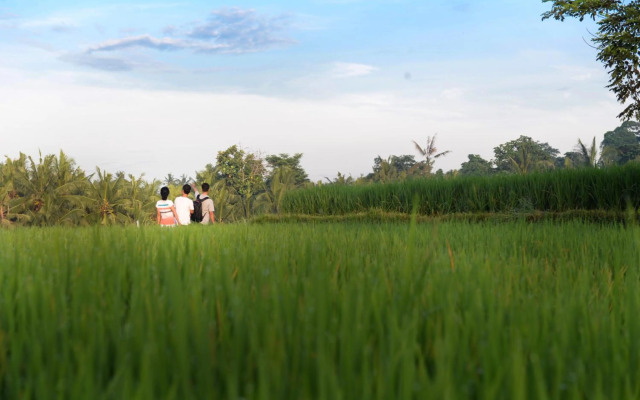 Purana Boutique Resort