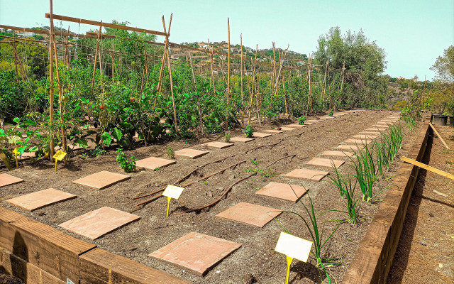 Talaia Plaza Ecoresort