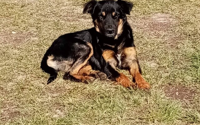 Room-parador Arewá La Energía Que Impuls