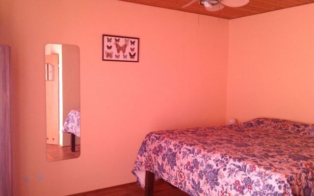 Vacation house for more than family