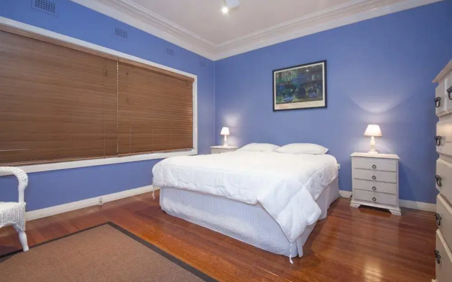 Christmas Bush Avenue No.11