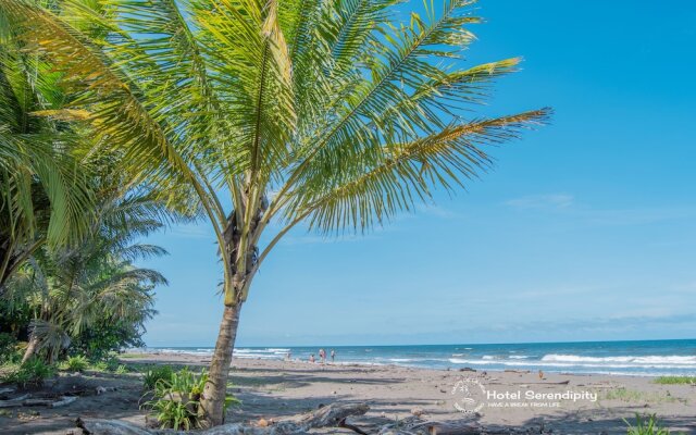 Hotel Serendipity tortuguero