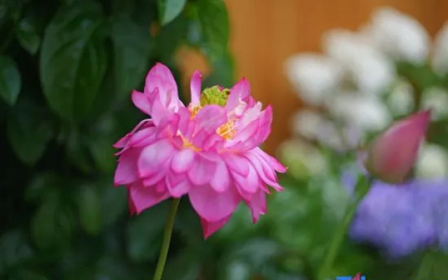 Yunqi Chinese Inn (Dianchi Lake Haigeng Dam)