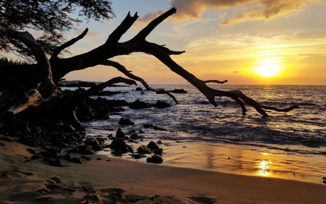 Hale O'hia Lehua 3 Bedroom Home by RedAwning