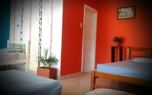 Hostal Garden House