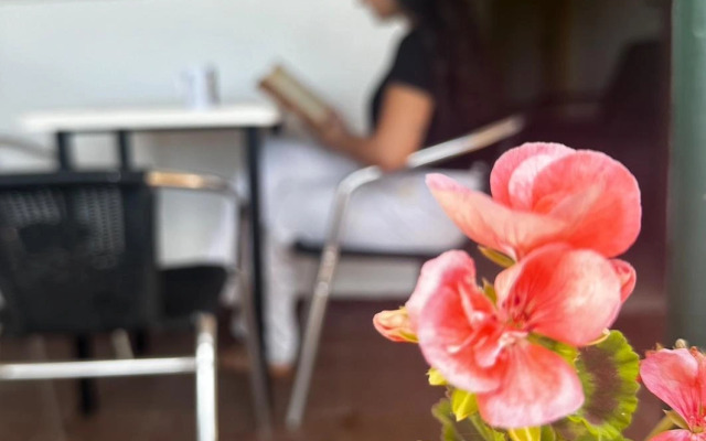 AP Costas - Camping Playa y Fiesta