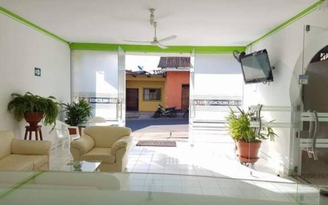 Los Helechos Hostal