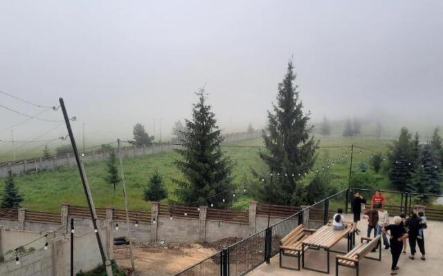 Bakuriani Villa Shale 9
