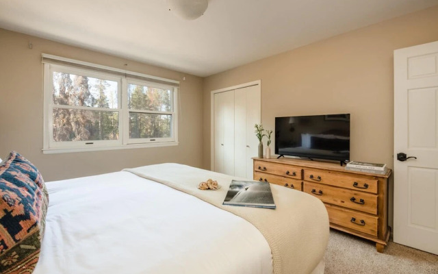 Four O Clock Rd - Rover