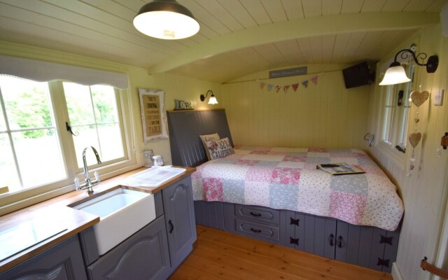 Keepers Cosy, Shepherds Hut , Alresford 491853