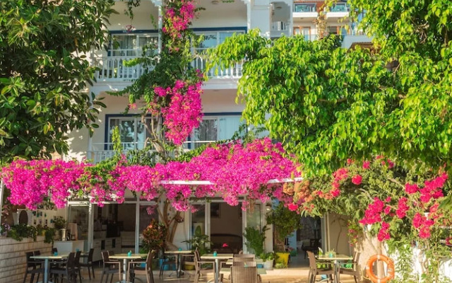 Hotel Koza