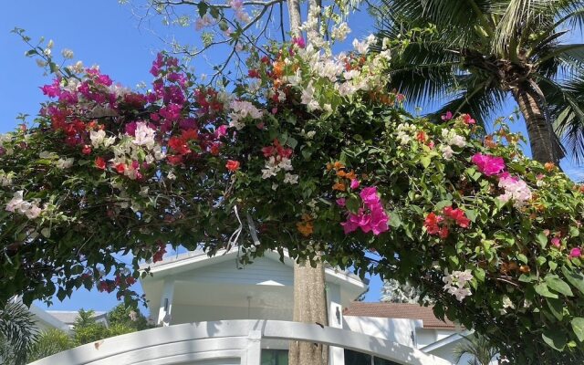 Bougain Villas Salad Beach
