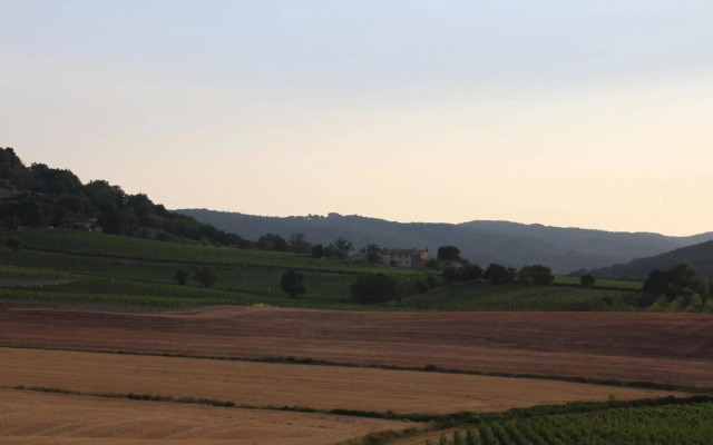 Podere Salicotto