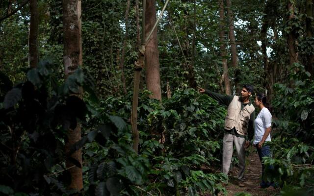The Serai Chikmagalur