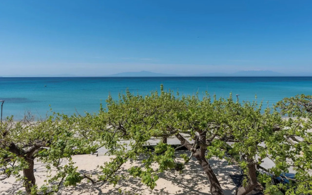 Alkioni By The Sea