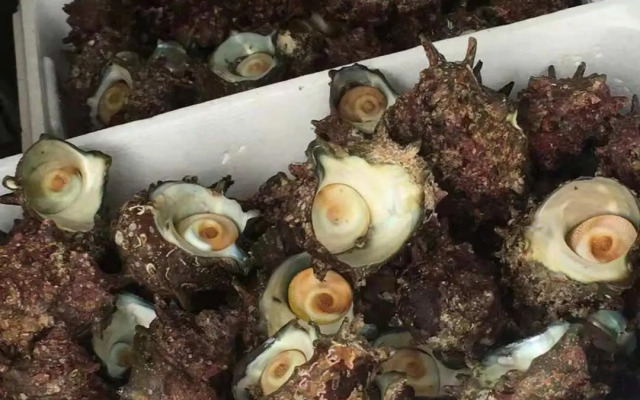 Izu Hokkawa Seaside Guesthouse 伊豆北川の家