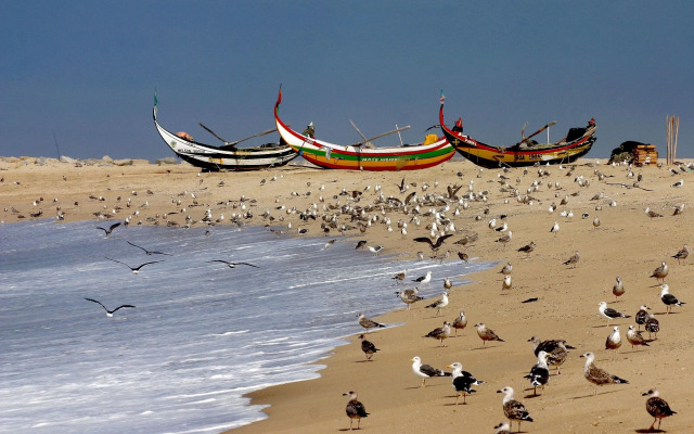 Hotel Apartamento Solverde