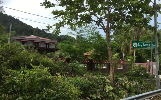 My Forest Hotel