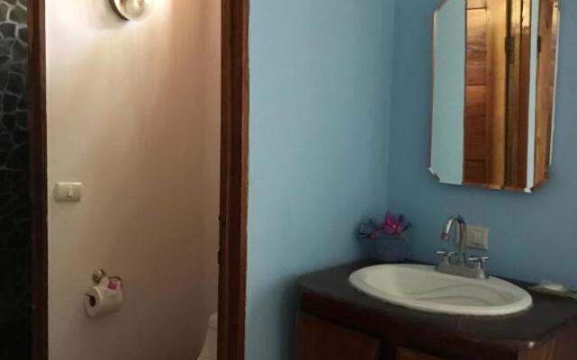 Fenix Hotel - On the Beach