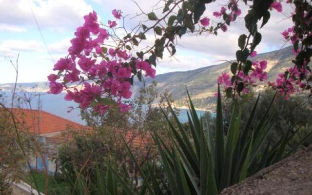 Aparthotel 4 Stars Zola