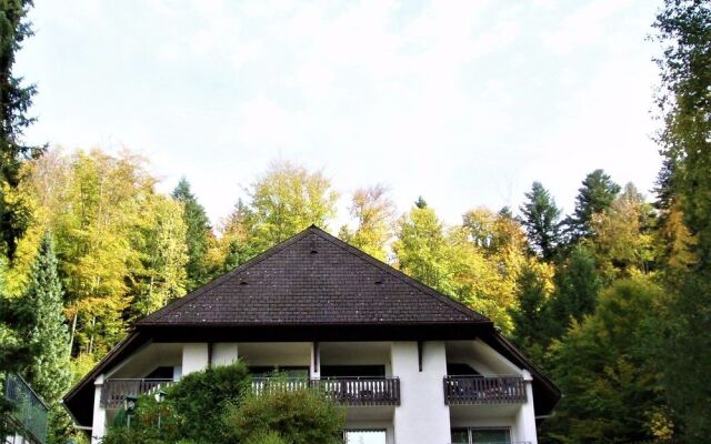 Berghotel Schwarzwaldblick Triberg