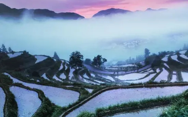 Jiangling Scenery Inn