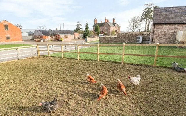 The Bull Barn