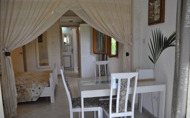 White Coconut Studio