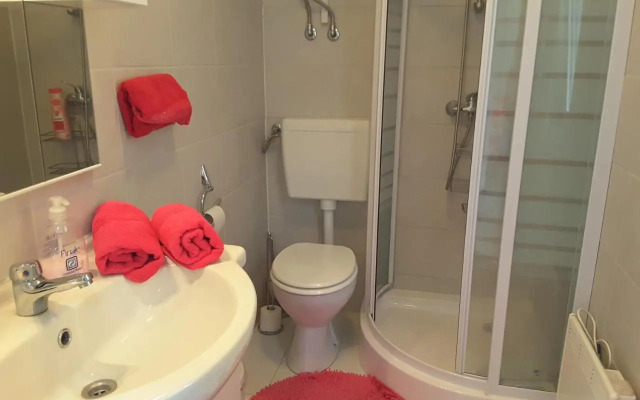 DELUX duplex apartment