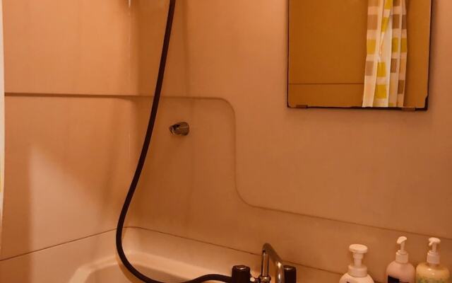 Fushimi-IVY Bunk bed twin 2