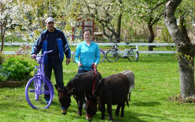 Hotel Lavendelhof & Eselhof Nauen