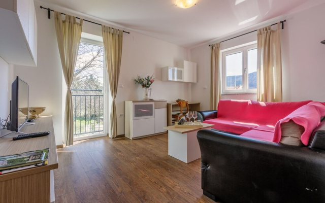 Apartment Nika