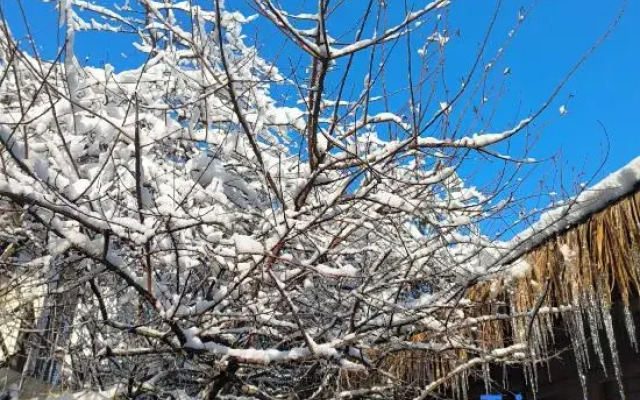 Xiongxiong Tribe Homestay