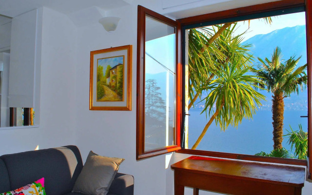 Palm Bay Garden