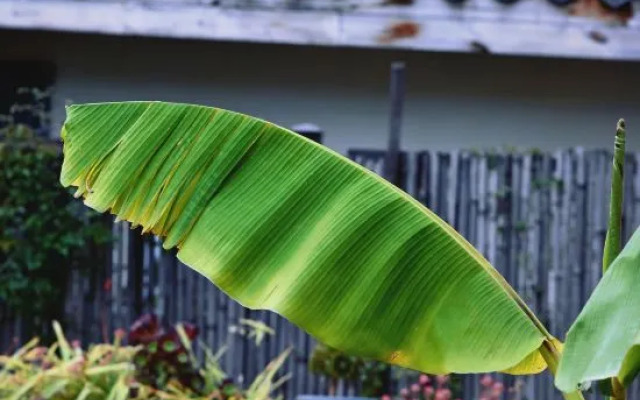 Shan Li Yun Boutique Hostel