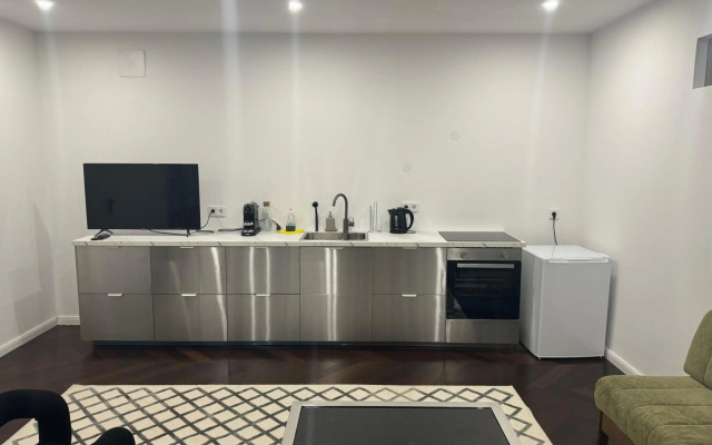 Luxurious Apartment in the Centre of Vienna