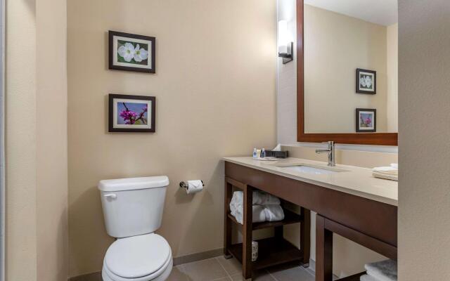Comfort Inn & Suites Waller