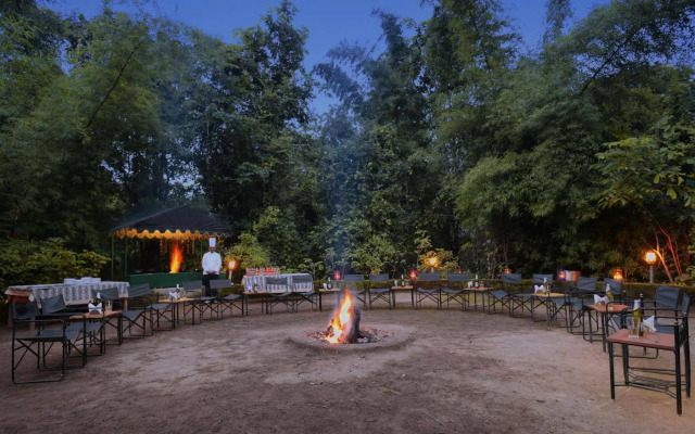 Pench Jungle Camp