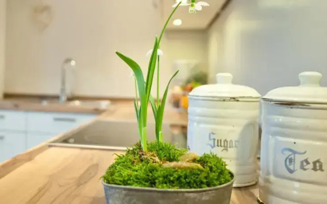 Bauernhof Familie Wulff