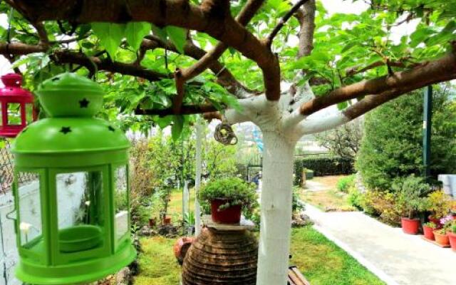 Vasiliki Guest House
