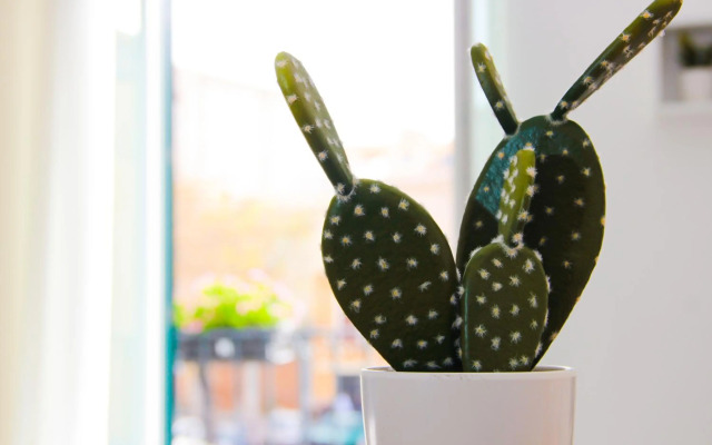 Le Casette di Marcì