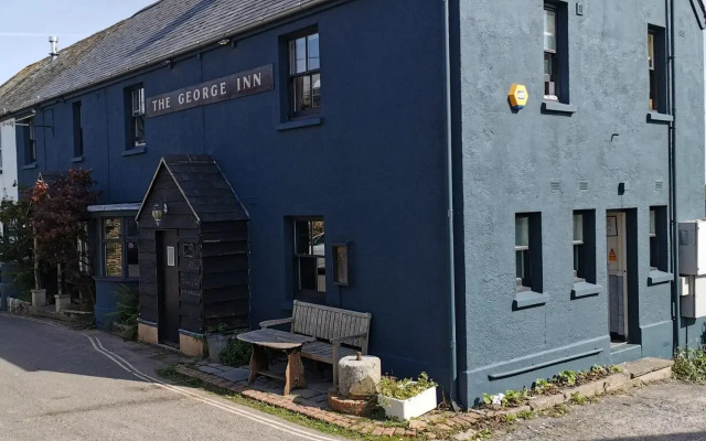 The George Inn - Blackawton