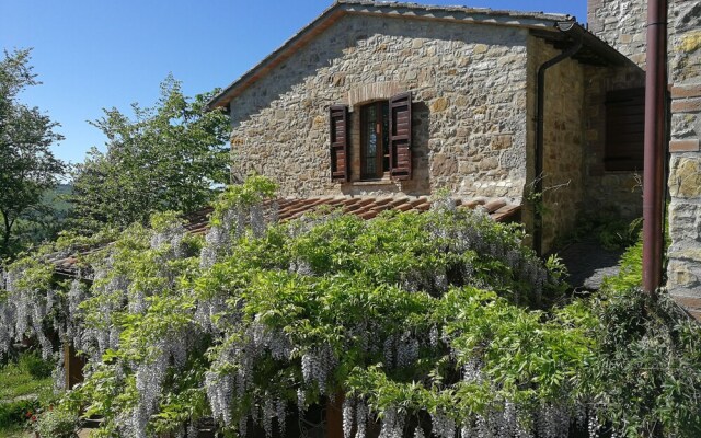 Agriturismo Casa Greppo - L'Ulivo