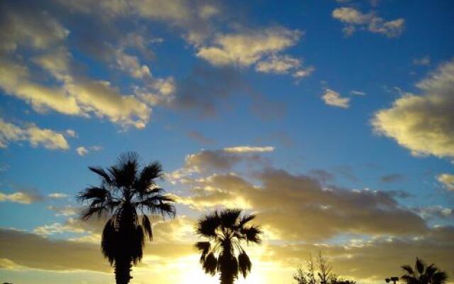 By Jonni Res. Chaparral