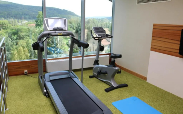 Mlyn Jacka Hotel & Spa