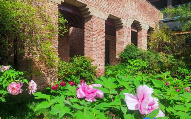 Hidden Tang Dynasty Homestay (Luoyi Old Town Lijing Gate)