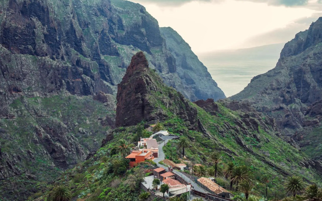 Penthouse Apartment With Ocean View