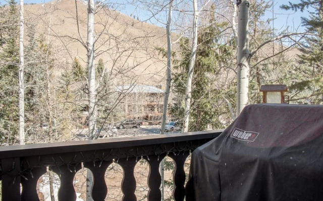 Edelweiss Condo #223B by RedAwning