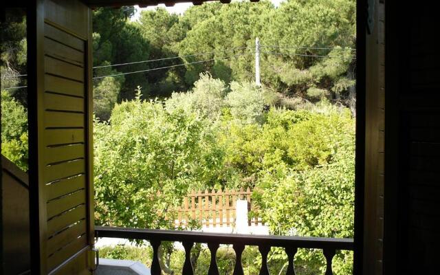 Koukounaries Beach Hotel