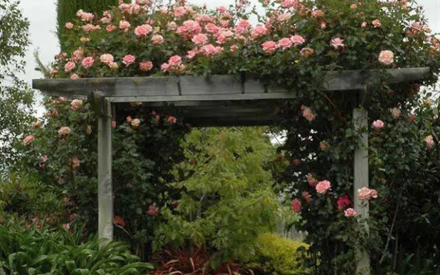 Stonehaven Homestay